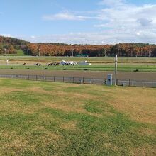 芝コースもあります