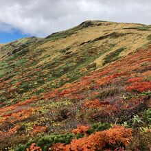 栗駒山と南斜面の紅葉