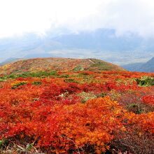 宮城側山麓を望む