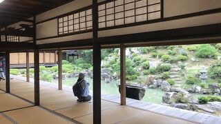 名勝庭園でゆっくり見学がおすすめ