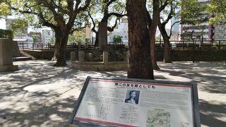 幼少期を過ごした場所