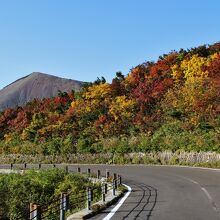 乙女坂からかもしか沢に向けて