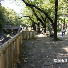 公園の景観です。