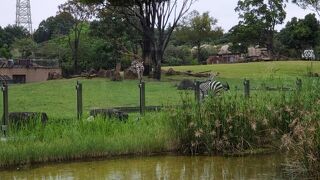 横浜にある動物園