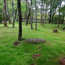 お庭のコケが見事。