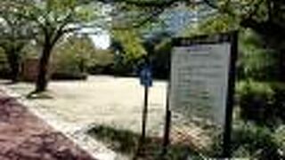 蛇行を利用して川の入り江を作っています。