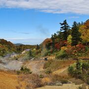 泥火山や大湯沼などの面白い火山現象を探勝