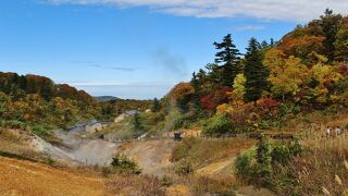 泥火山や大湯沼などの面白い火山現象を探勝