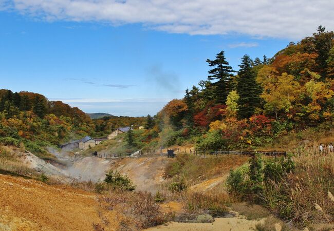 泥火山や大湯沼などの面白い火山現象を探勝