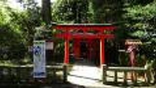 何故、ここに」という疑問は解けませんでした。