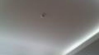 微笑ましい気分になりました