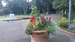 かわった点がありました！