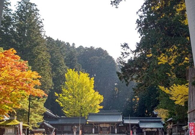 飛騨一宮水無神社 クチコミ アクセス 営業時間 飛騨高山 古川 フォートラベル