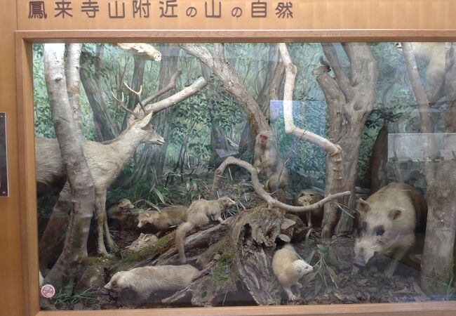 鳳来寺山の自然がそのまま展示されています。