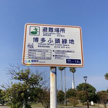 博多ふ頭緑地～公園ですね