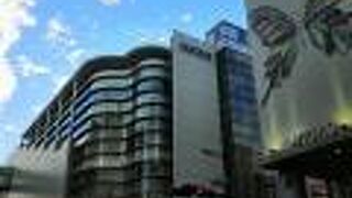 なかなかの存在感