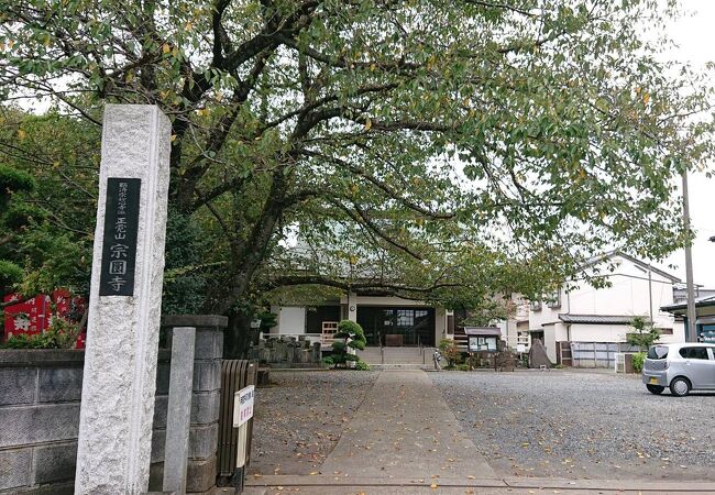 佐倉市内の中心部にあるお寺