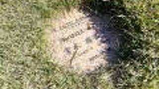 朱鷺の台カントリークラブ