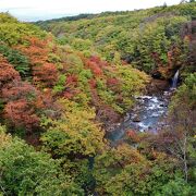 「森の大橋」の両側から渓谷を見下ろす紅葉狩り