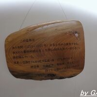 泉質は低張性アルカリ性冷泉です