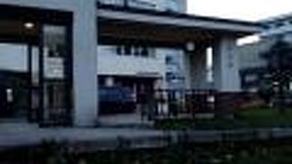 紅葉が綺麗でした。