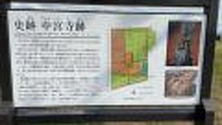 秋にはコスモスが咲き乱れます