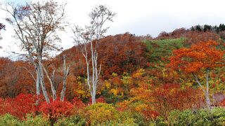 八甲田山麓の紅葉の景勝地