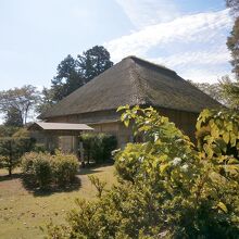 手入れが好い園内