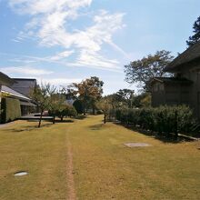 広い芝生もフカフカでした