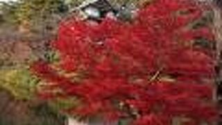 紅葉祭り期間中、無料で見学できました。