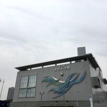 夢の大橋のたもと