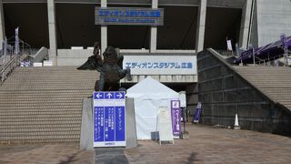 奇麗な芝生のスタジアム