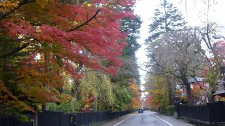 紅葉がすばらしい
