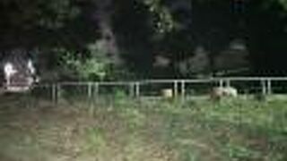 牧志駅や国際通りから近い公園