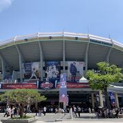 初めての韓国プロ野球観戦、よく知らなくても盛り上がれる