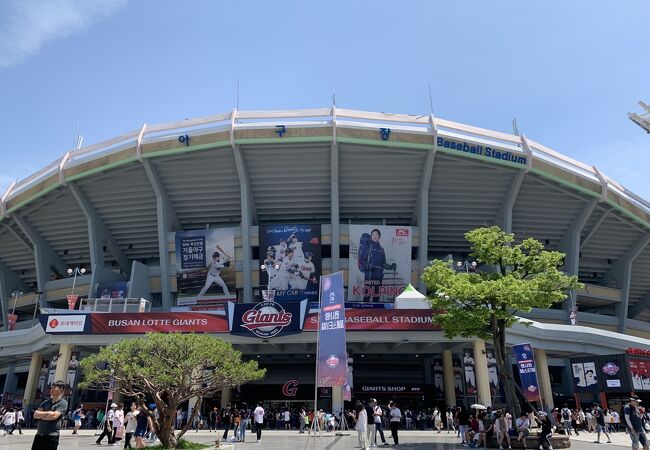 初めての韓国プロ野球観戦、よく知らなくても盛り上がれる