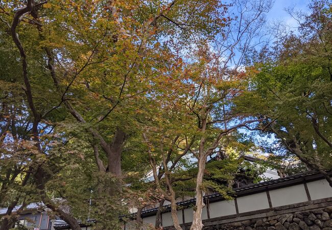 紅葉で有名