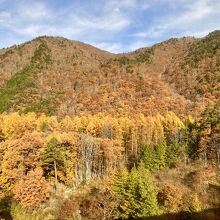 周辺の風景（高速道路の車窓）