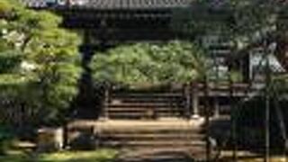 芝生の色合い良い