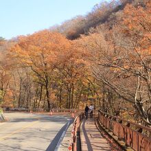 紅葉時期の吾妻渓谷も、素晴らしいです！