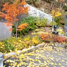 長寿と健康の足つぼの湯