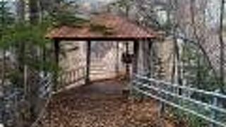 エコバスを降りた場所からレストハウスのある展望台に行って、そこからさらに上の展望台に行きました。