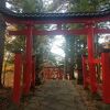 紅葉が綺麗でした。