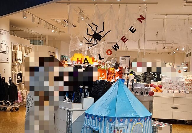 お台場の専門店 クチコミ人気ランキングtop フォートラベル 東京