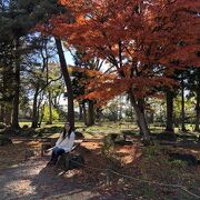 11月6日。紅葉が素晴らしい