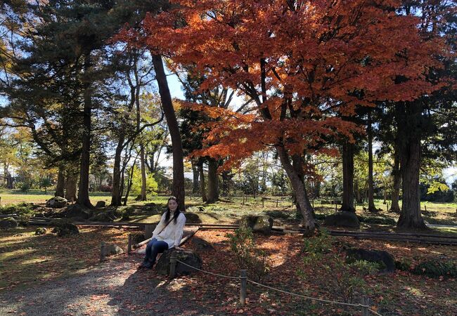 11月6日。紅葉が素晴らしい