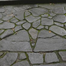 寄り添う夫婦の後ろ姿のよう