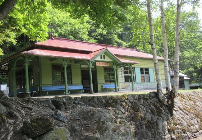 最終お値下げ　神居古潭石　北海道旭川　天然記念　台座付き 北海道神居古潭石O 木製台座付き - メルカリ