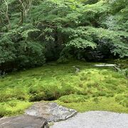 つくえもみじのほかに、瑠璃の庭や臥竜の庭も素敵です。