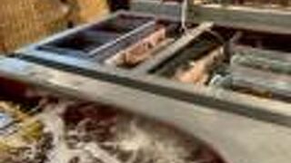 イカセンター新宿総本店